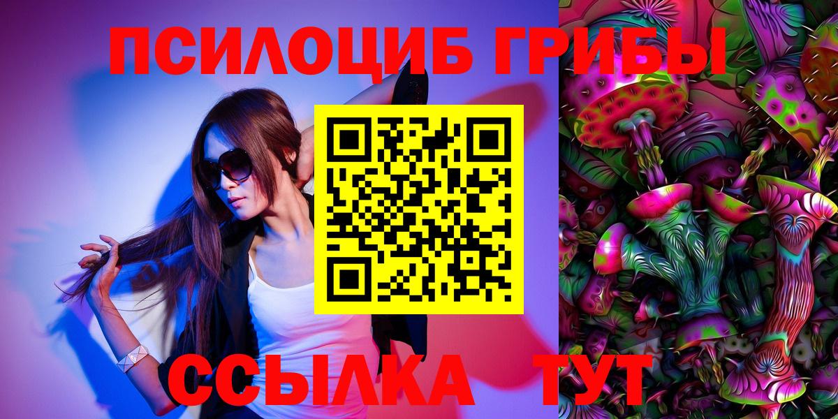 Галлюциногенные грибы Psilocybe Тобольск